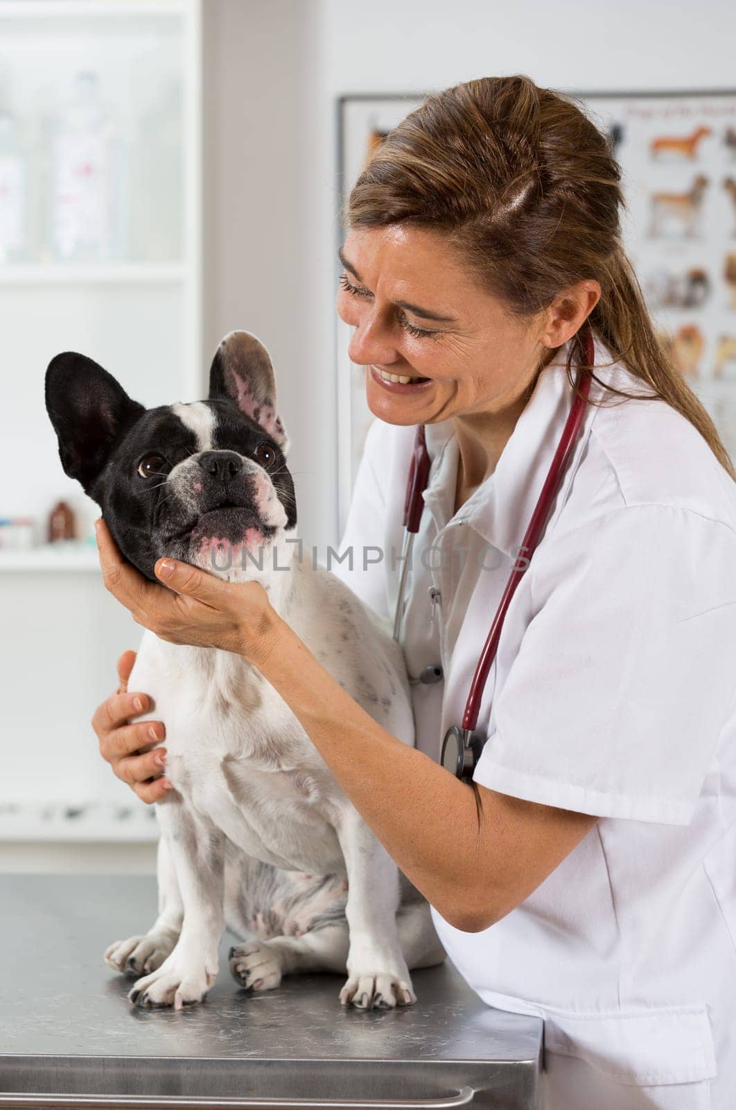 Veterinary hugging a french bulldog and reassuring for review