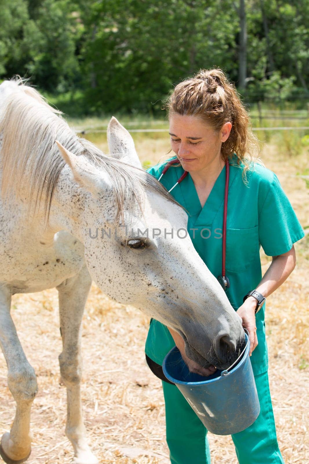 Veterinary I think feeding a horse on the farm