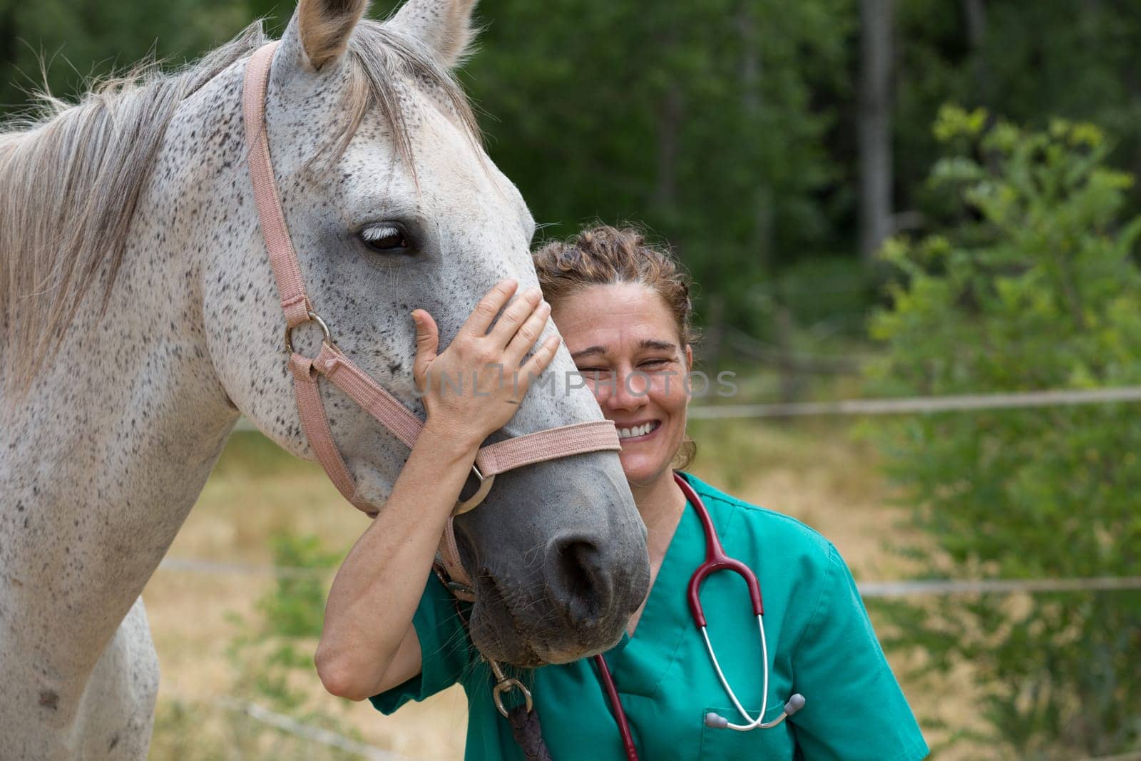 Veterinary great performing a scan to a young mare