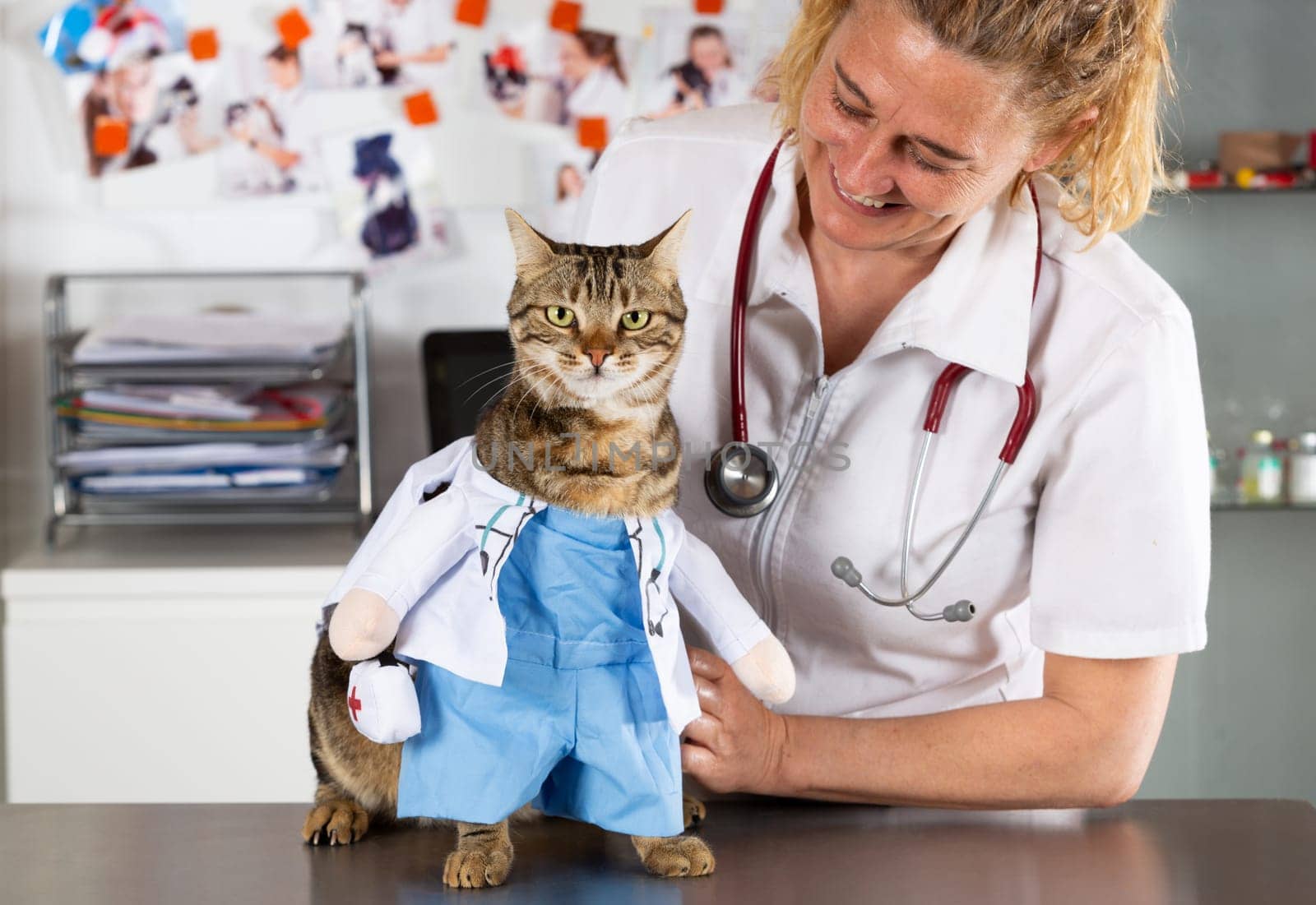 Veterinary with her cat disguised as a doctor