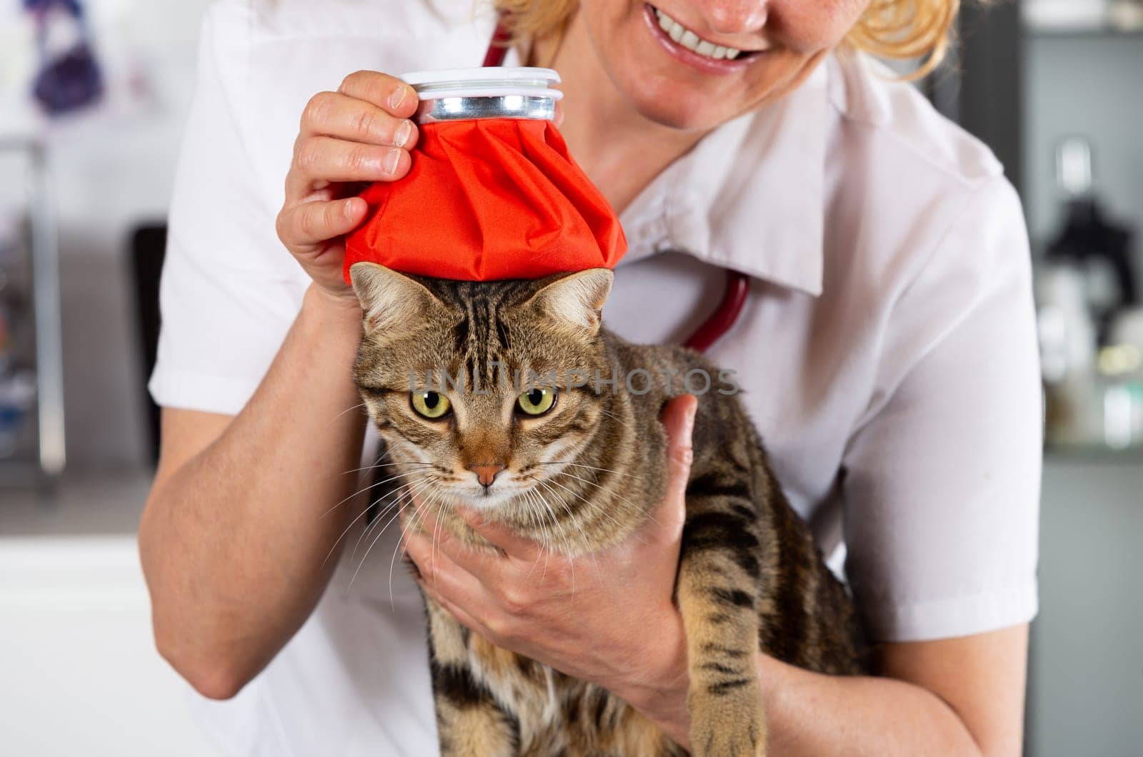 Cat flu and a hot water bottle on head
