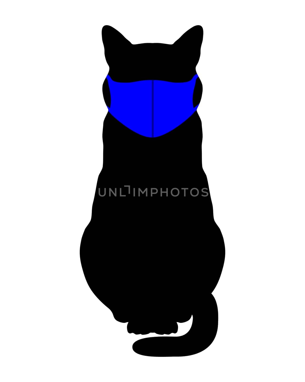 Katze mit Mundschutz