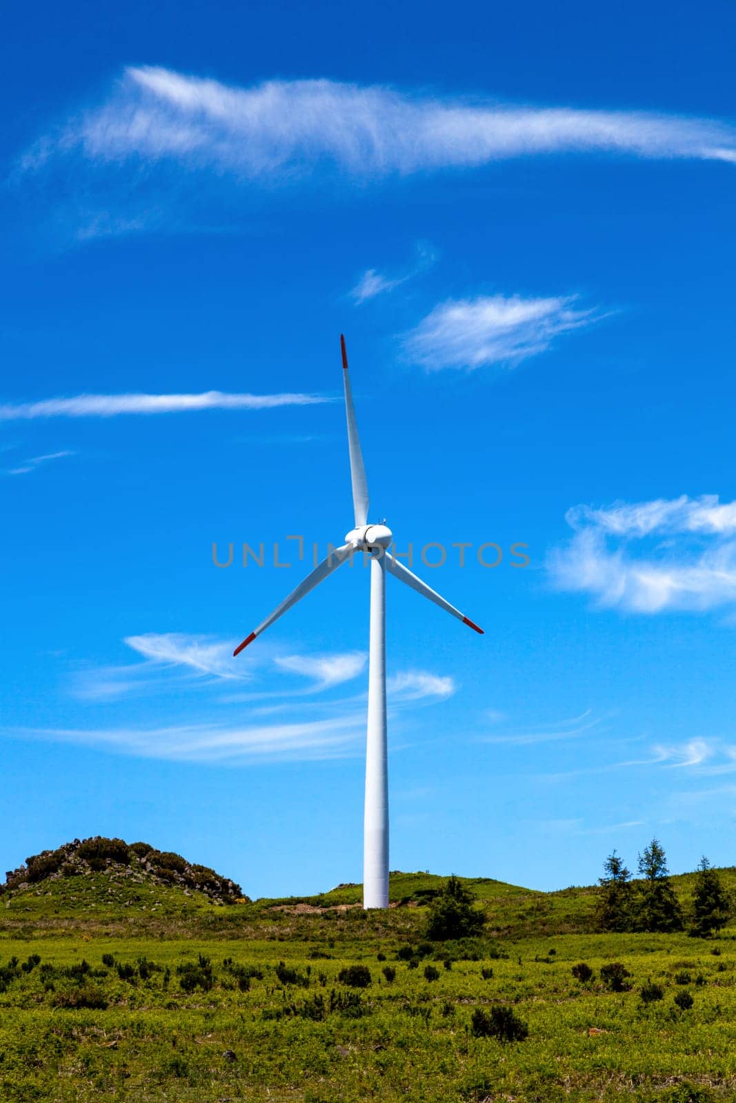 Eco power wind turbines landscape