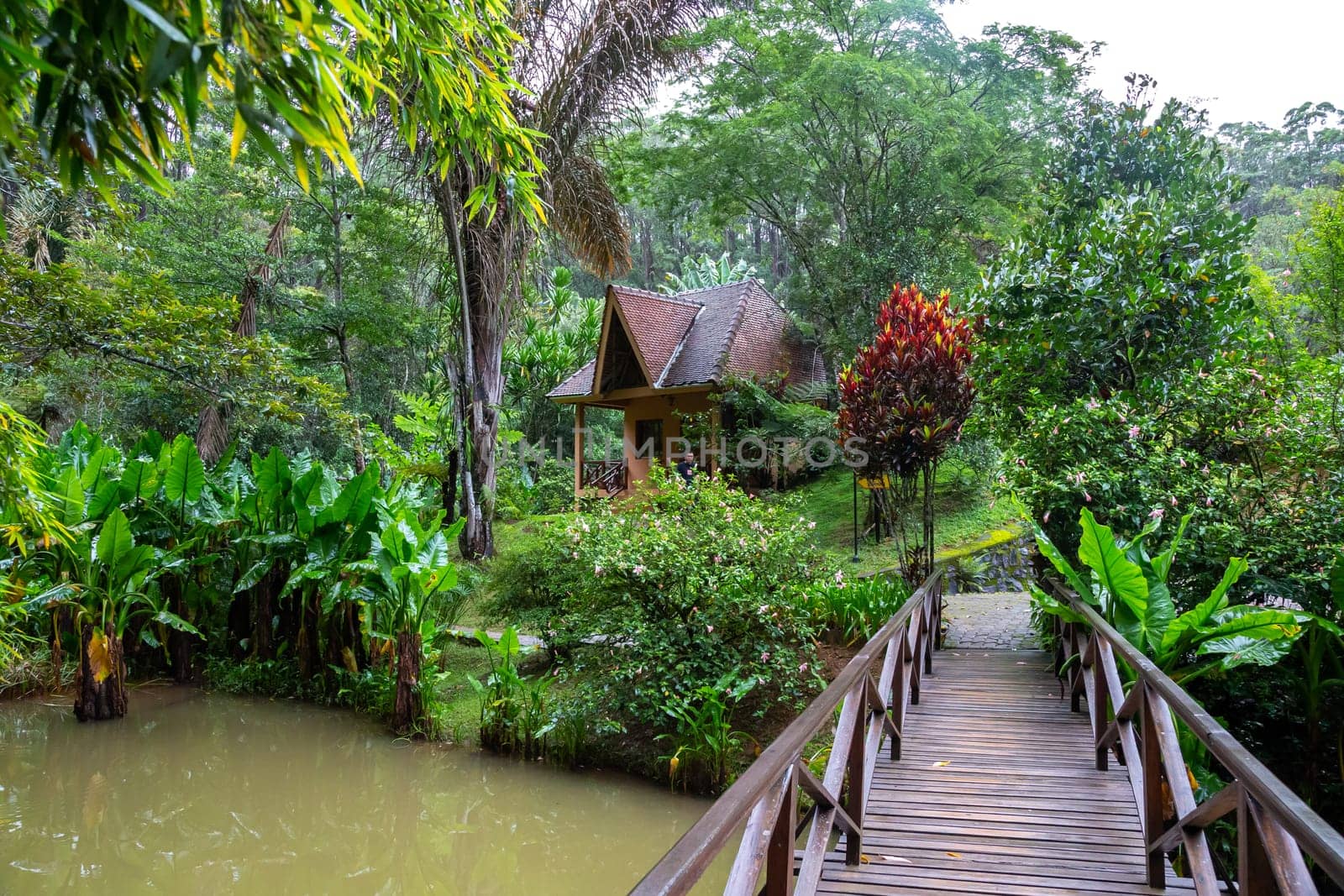 One small wooden bridge over a small river in a rainforest in Madagascar