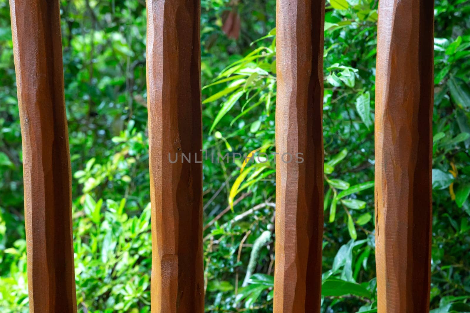 A Background from a wooden mesh or wood