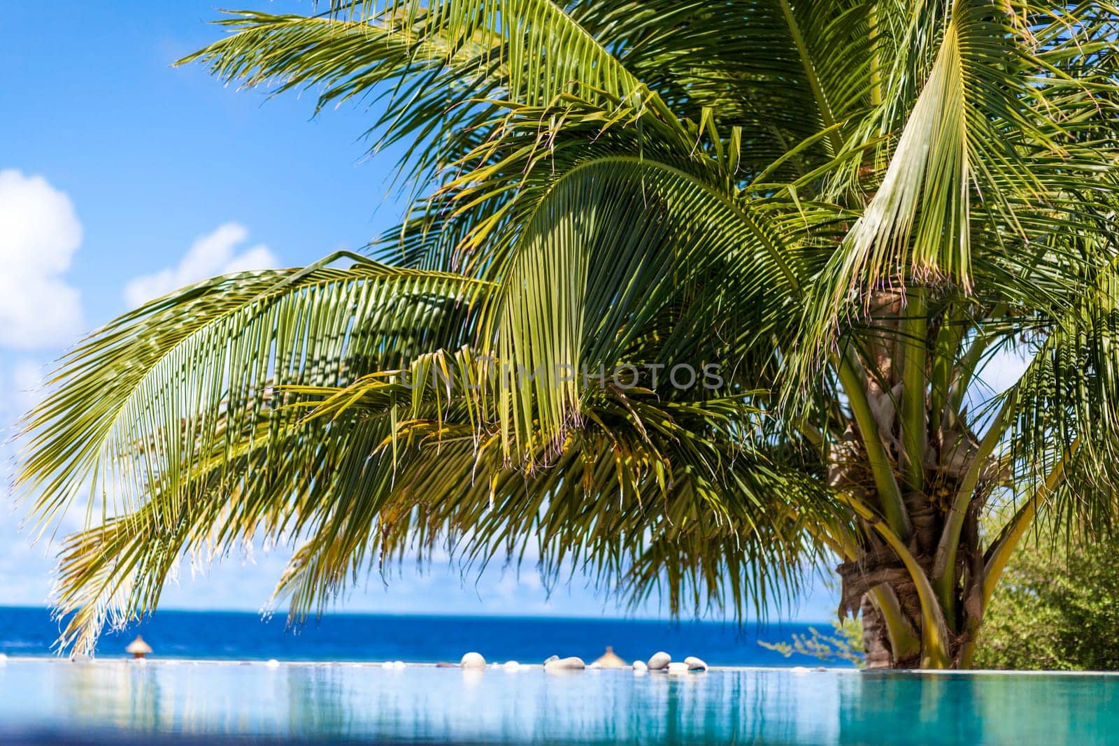 View from the swimming pool to the ocean
