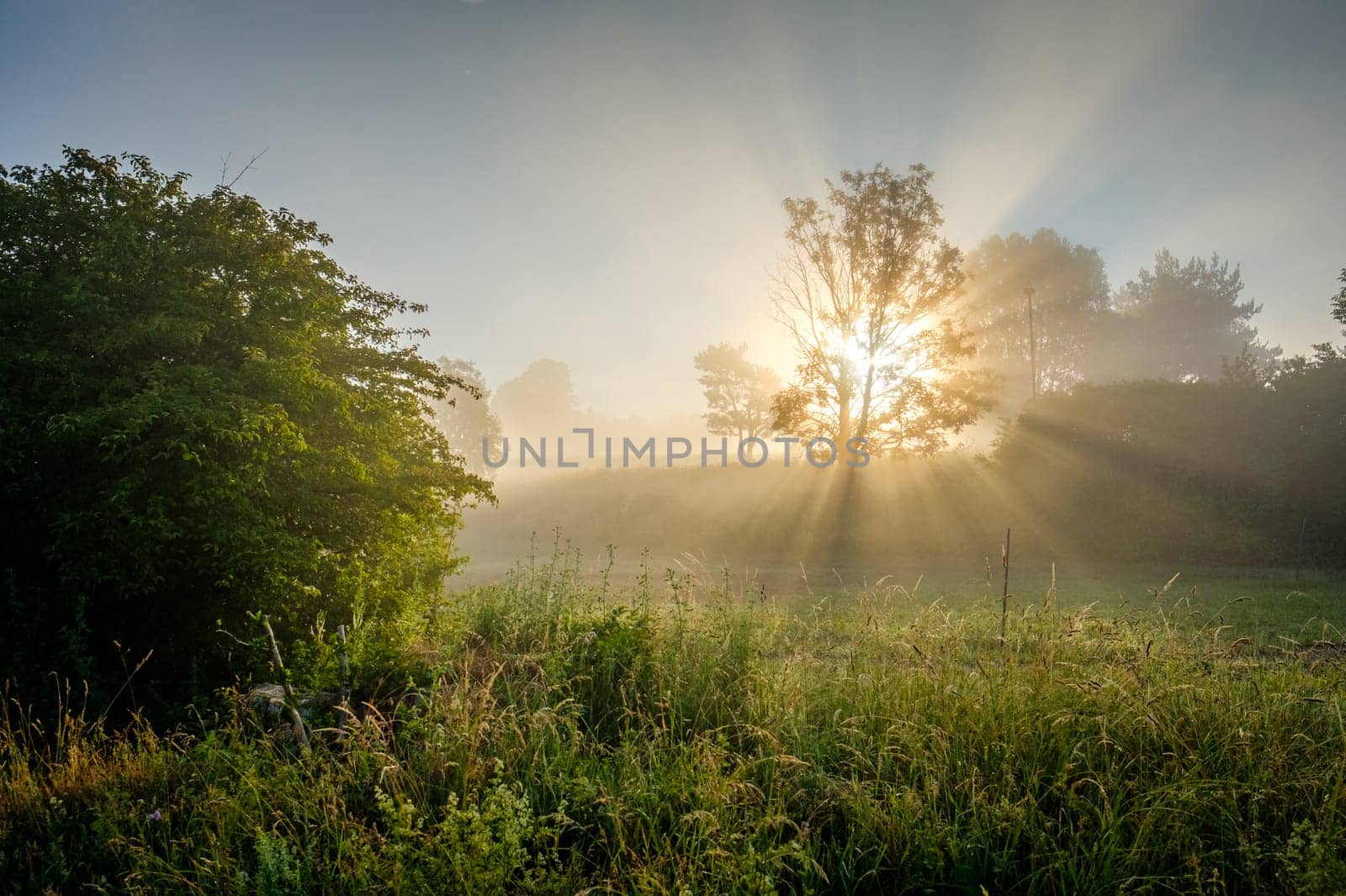 Sunbeams sunlight back lmist landscape with meadow and trees