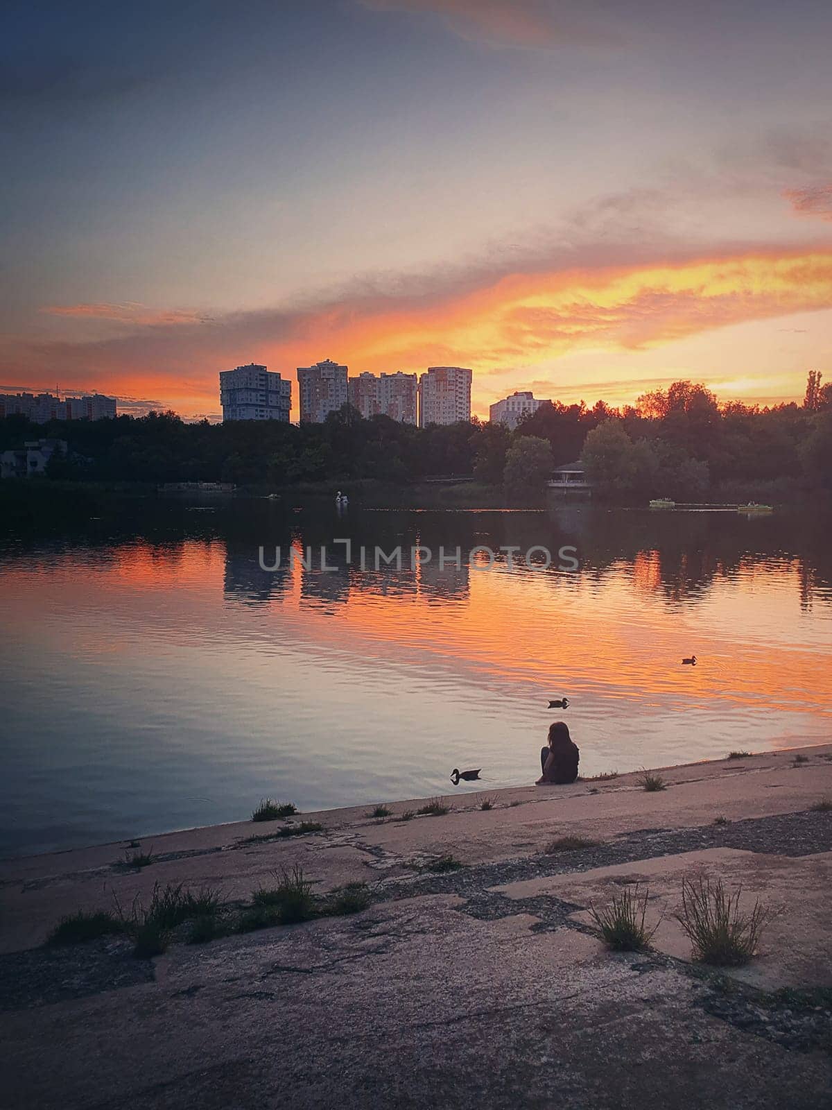 Moody and idyllic evening scene with a little girl silhouette, feeding the wild ducks, sitting near the lake in the park. Wonderful summer sunset with colorful reflection on the calm water surface.