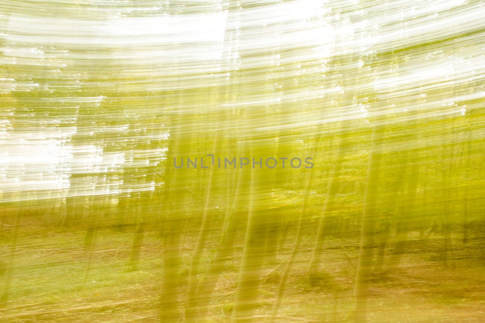 Motion blurred foliage and trees in autumn