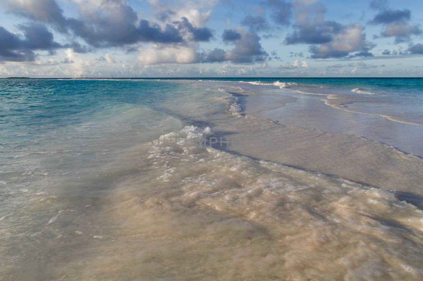 The beach on an island with waves