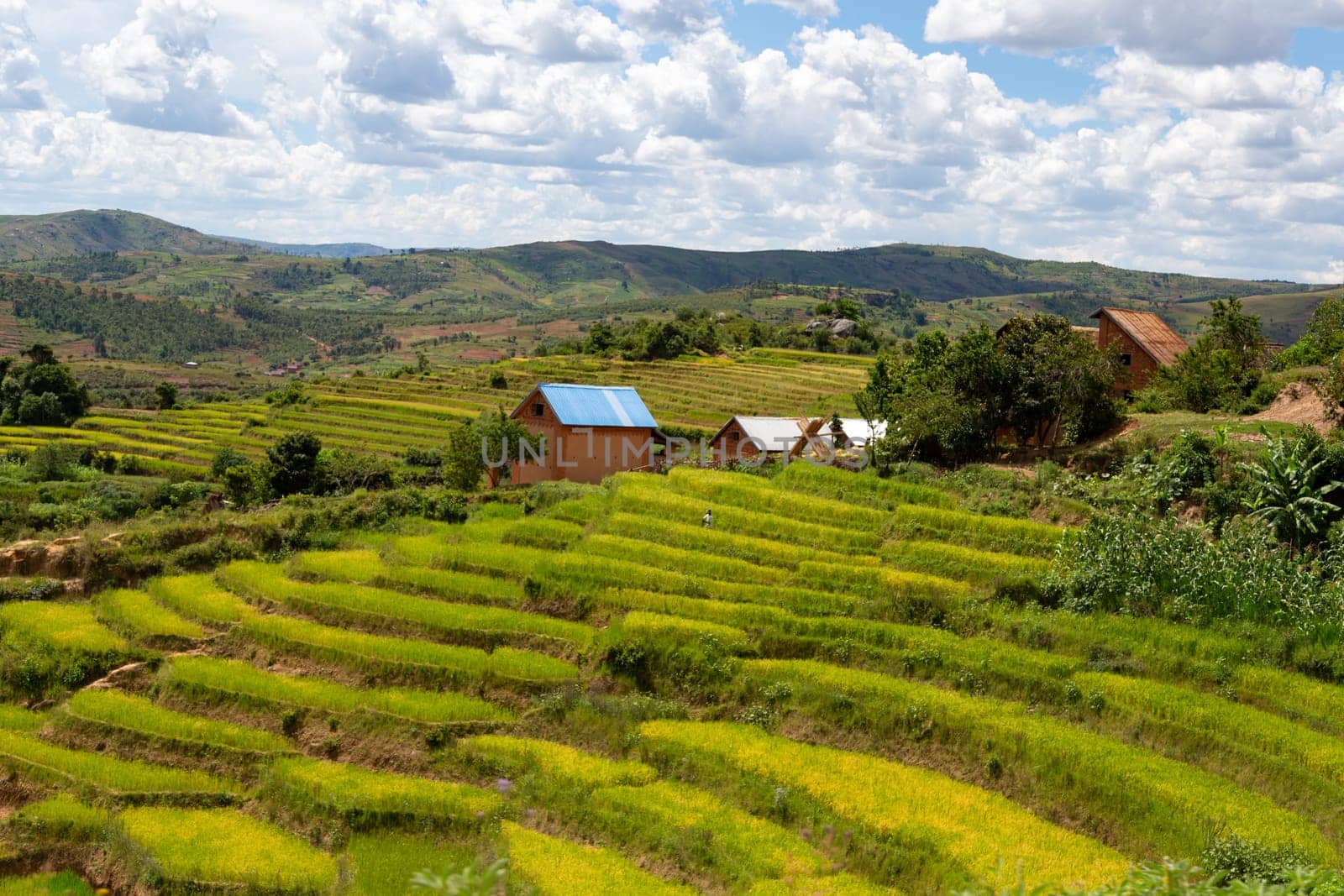 The Landscape shots of green fields and landscapes on the island of Madagascar