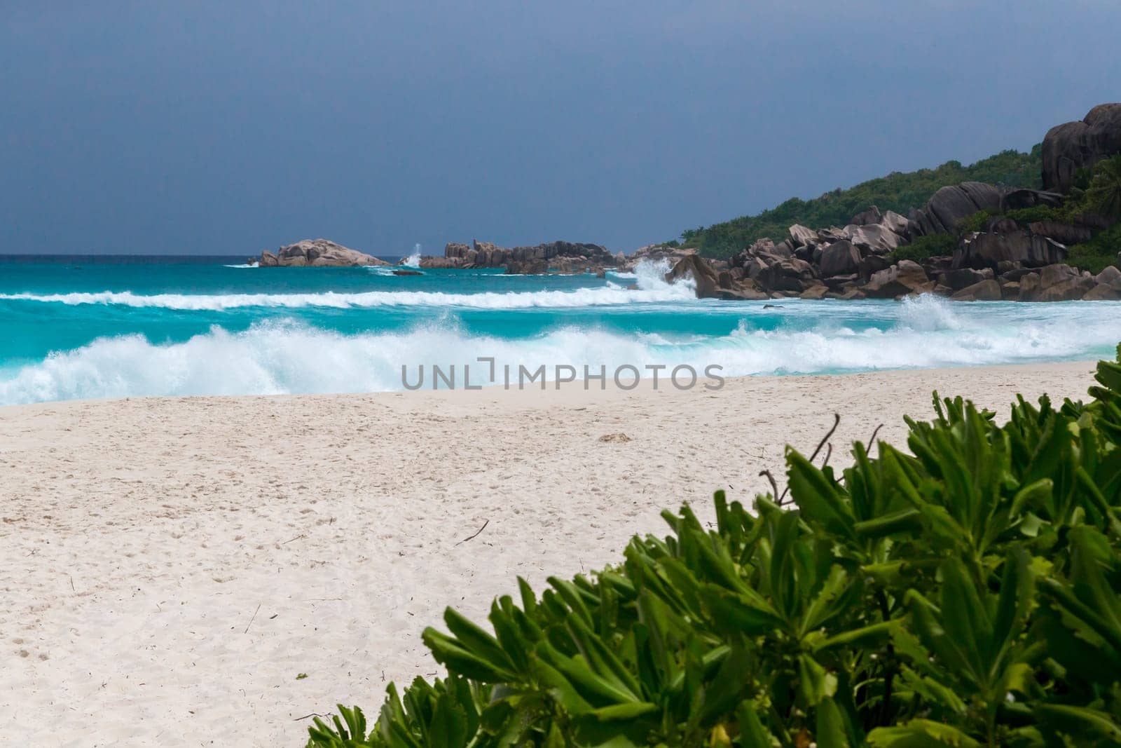 White sand on the beach and waves a lot of green plants and rocks
