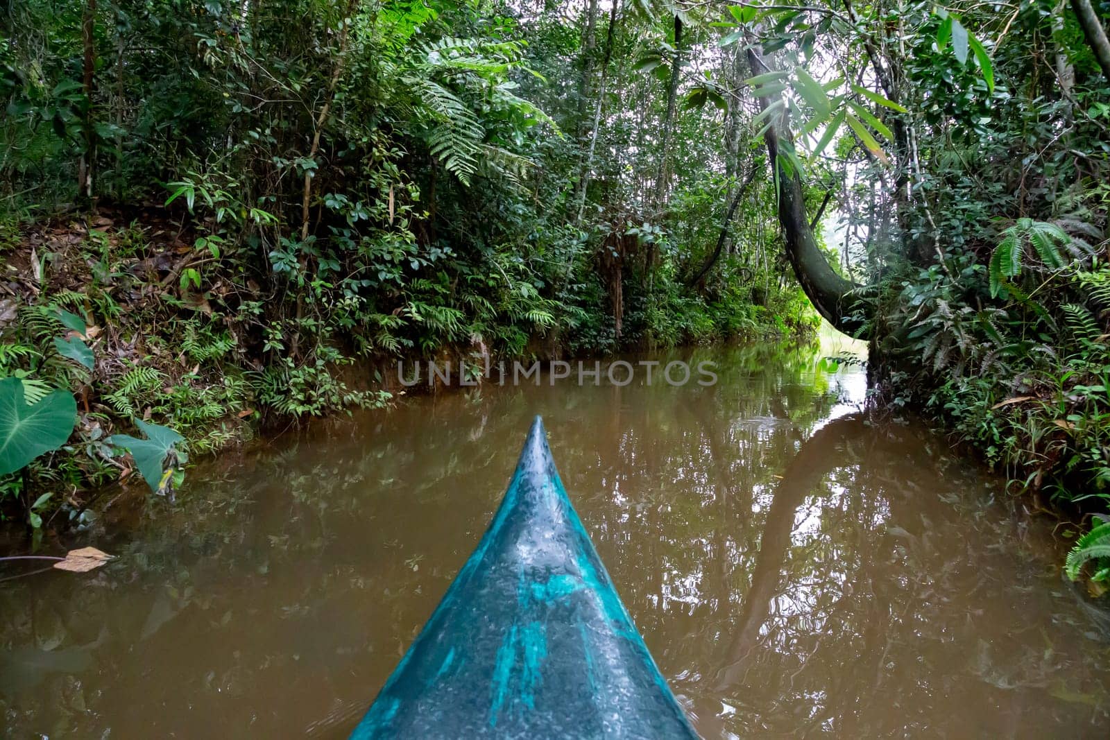 The boat ride on the water in the rainforest on the island of Madagascar..