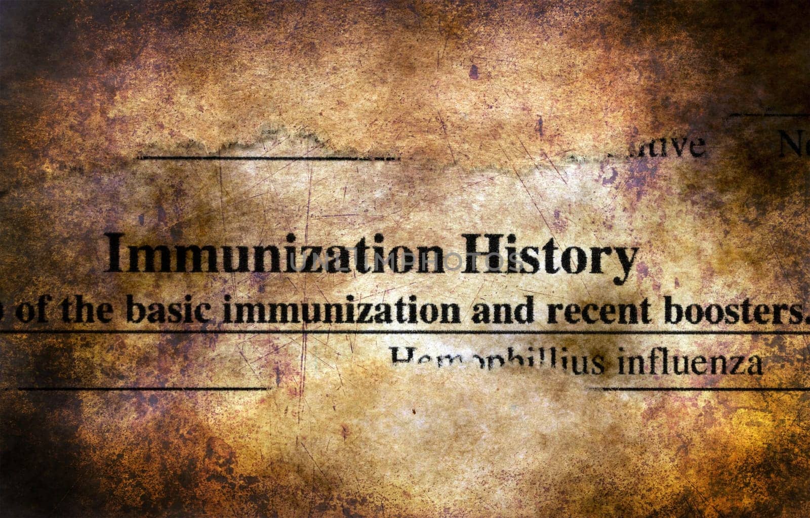 Immunization history form grunge concept