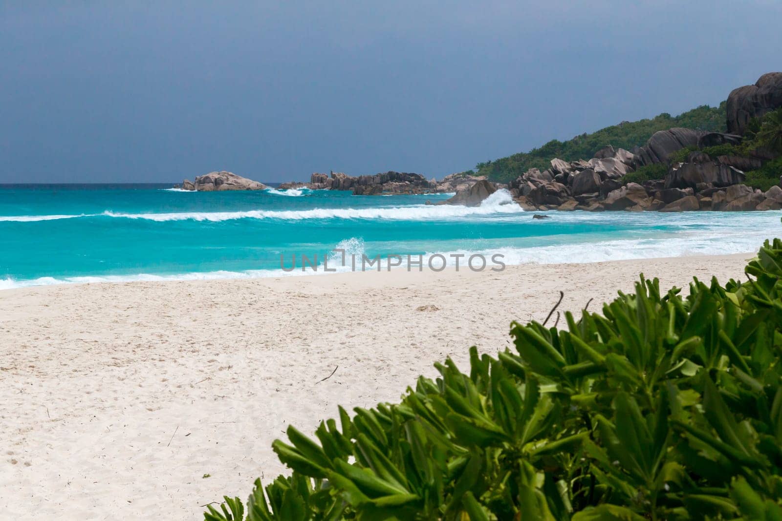 White sand on the beach and waves a lot of green plants and rocks