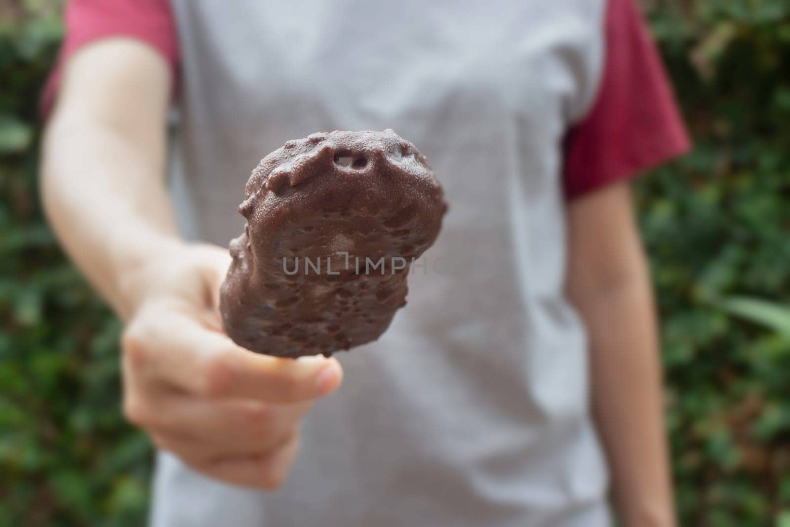 Ice cream covered with chocolate and nuts, stock photo