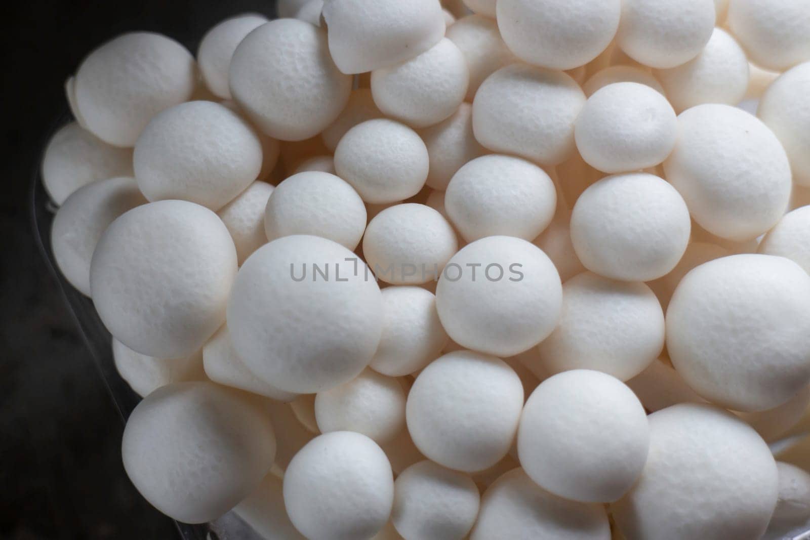 Raw shimeji mushroom for asian cuisine, stock photo