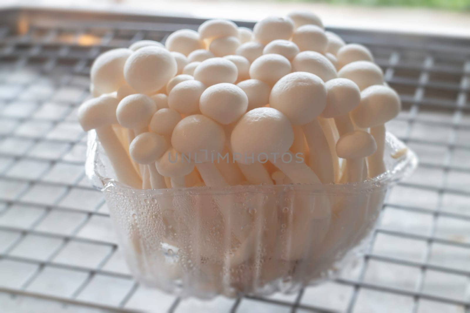 Raw shimeji mushroom for asian cuisine, stock photo