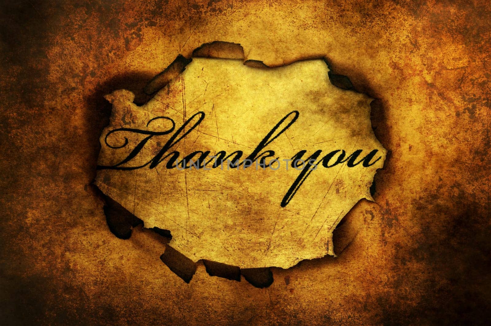 Thank you text on paper hole
