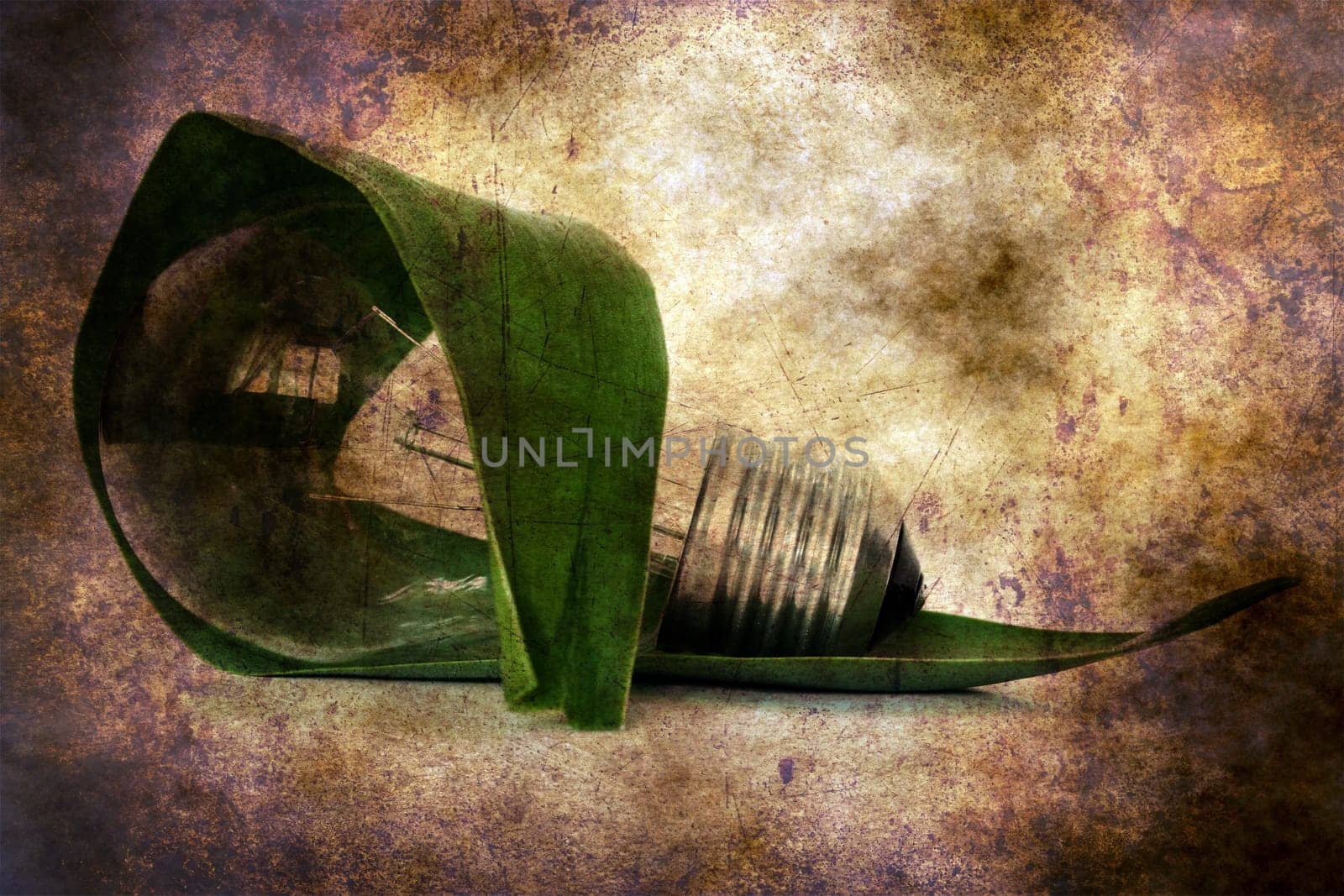 Light  bulb and leaf grunge concept
