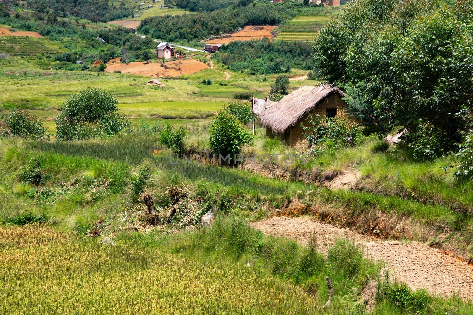 The Landscape shots of green fields and landscapes on the island of Madagascar