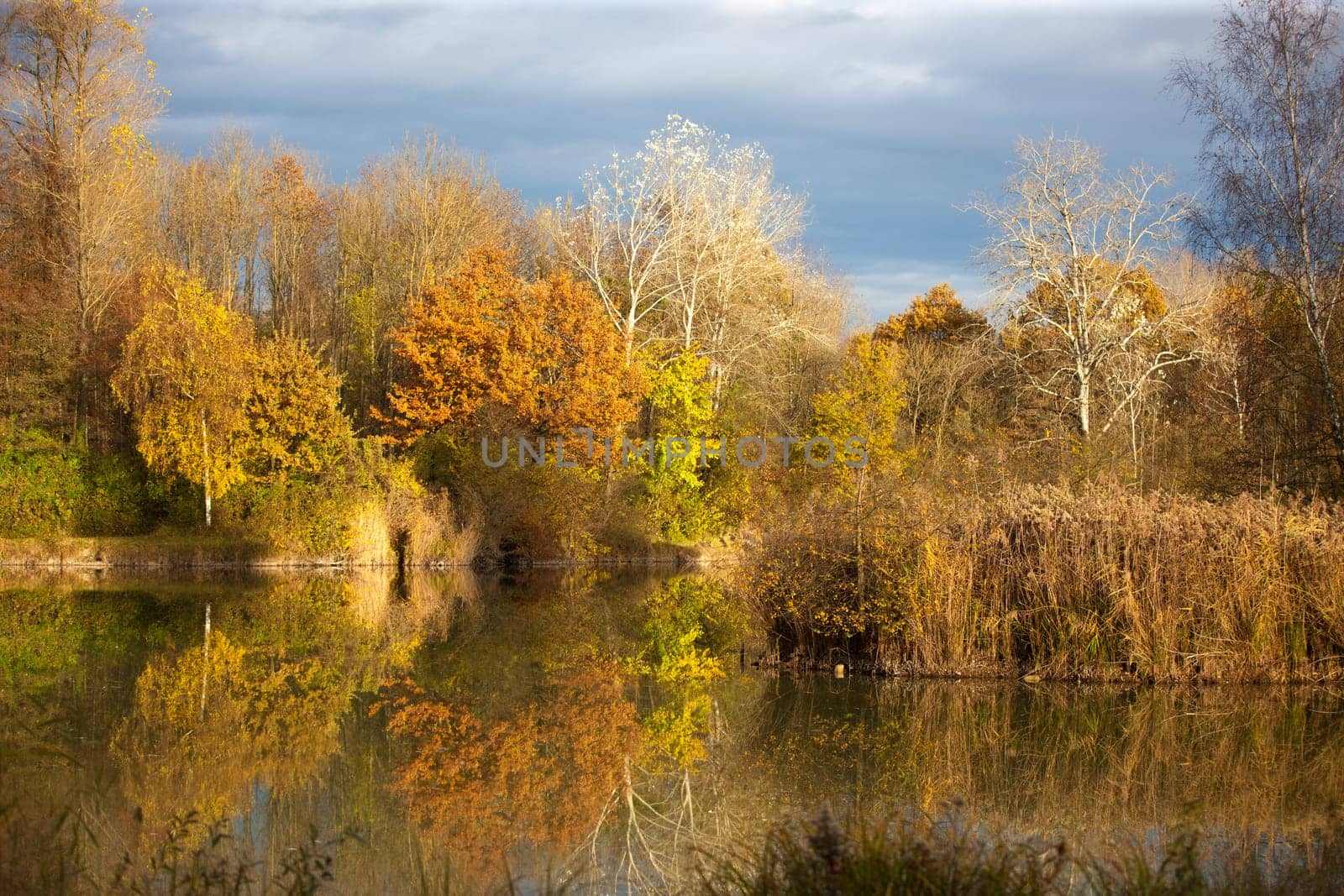 Autumn scenery near a lake in Germnay.