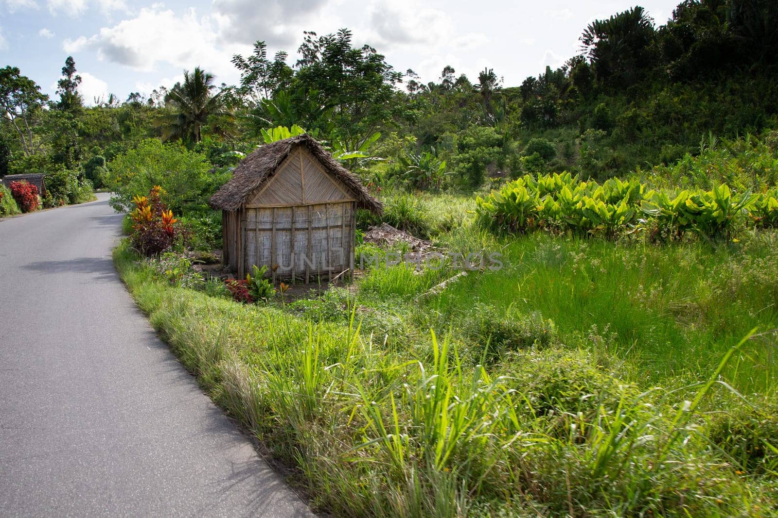 A landscape pictures of the country of Madagascar, with mountains and meadows