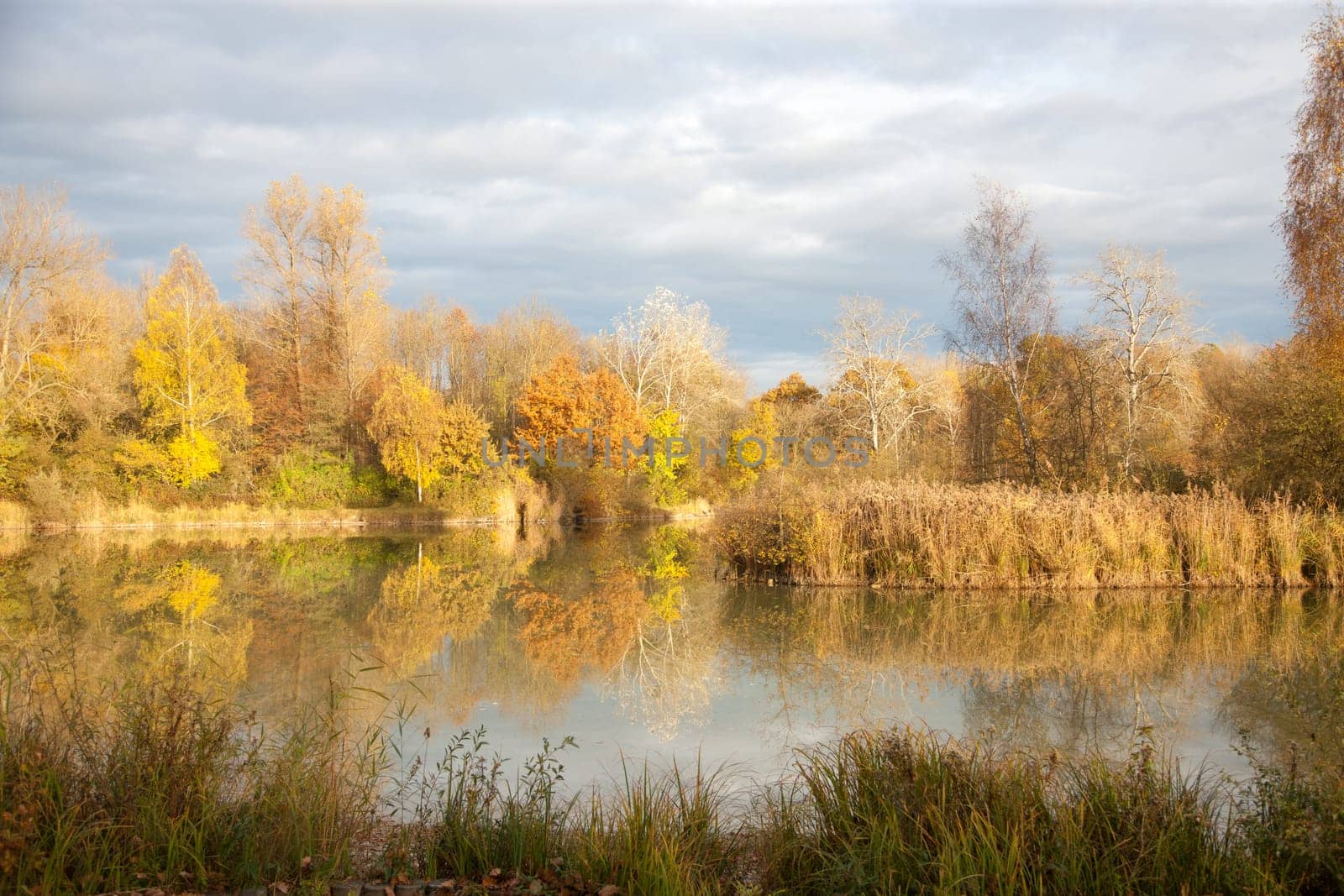 Landscape in Germany, autumn, trees and bushes near lake.