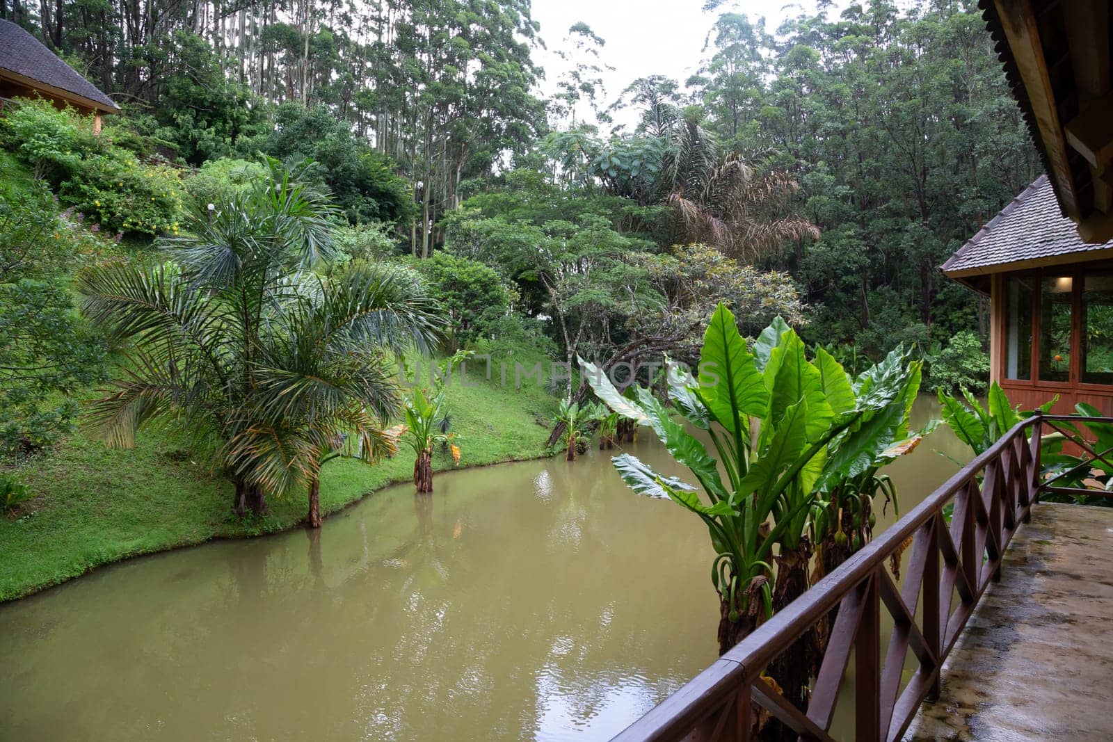 One small wooden bridge over a small river in a rainforest in Madagascar