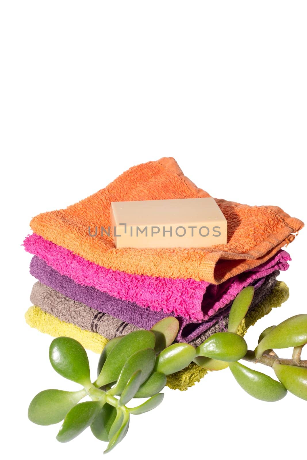 soap on facecloths of various shades with natural green plant