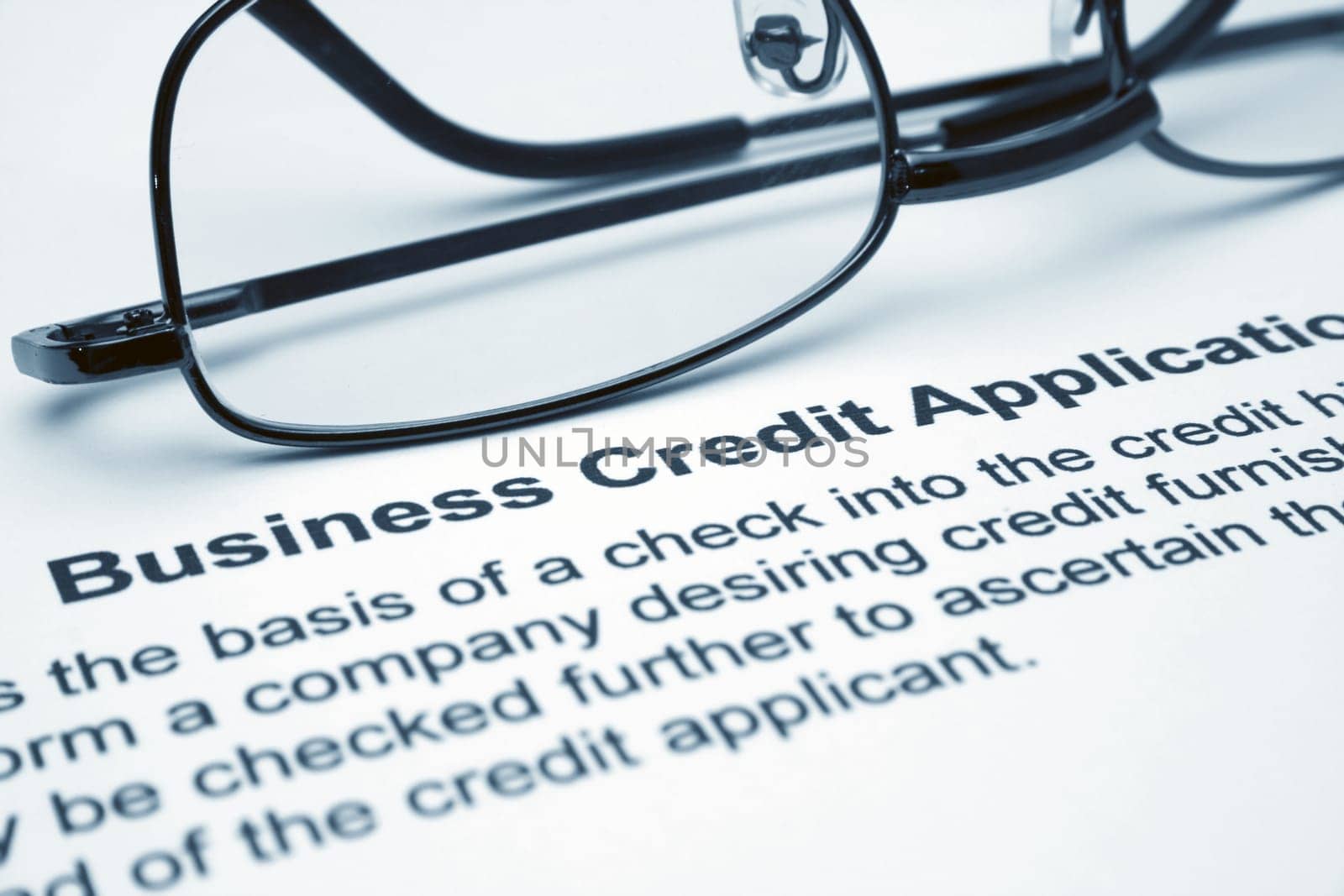 Business credit application