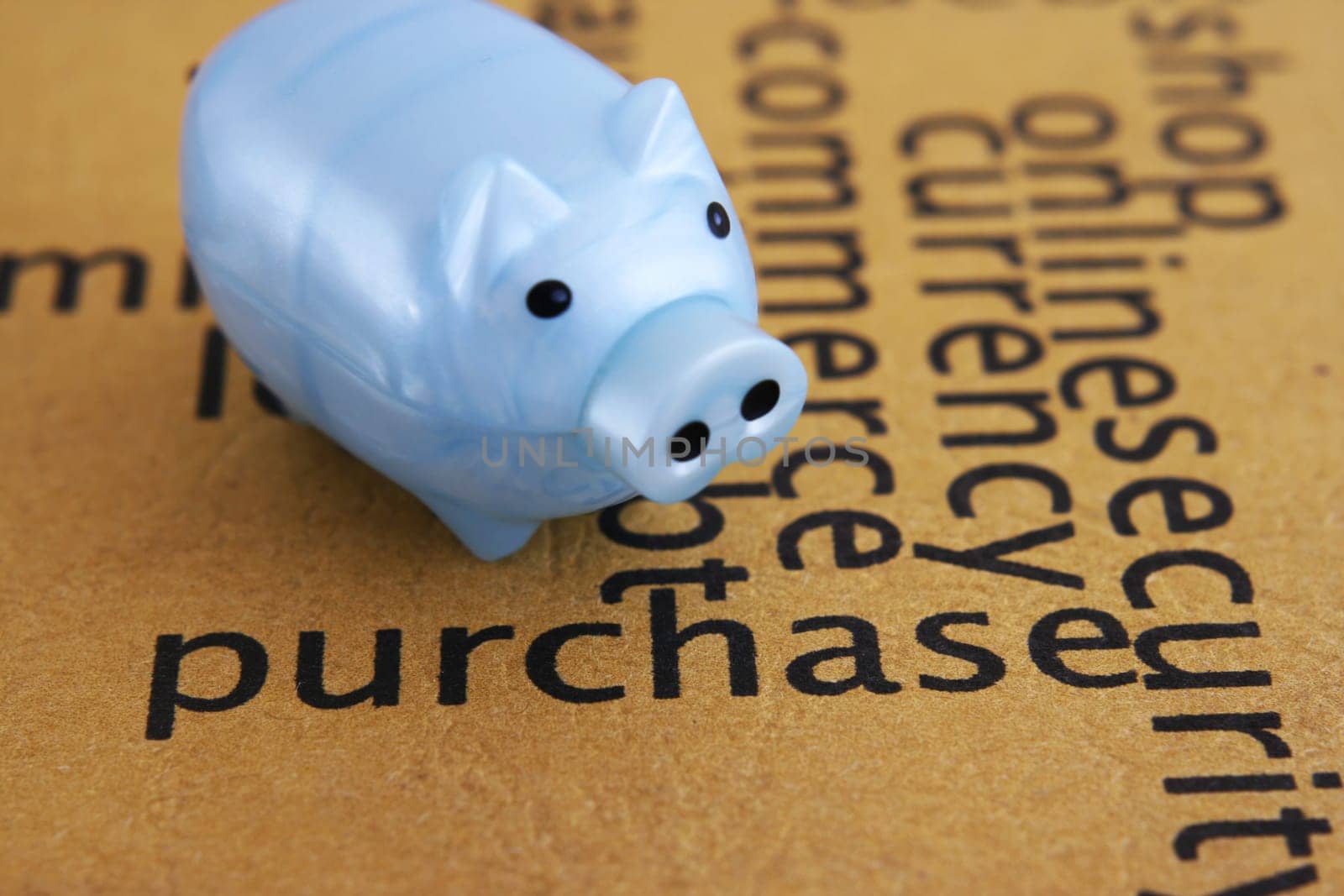 Purchase and piggy bank concept