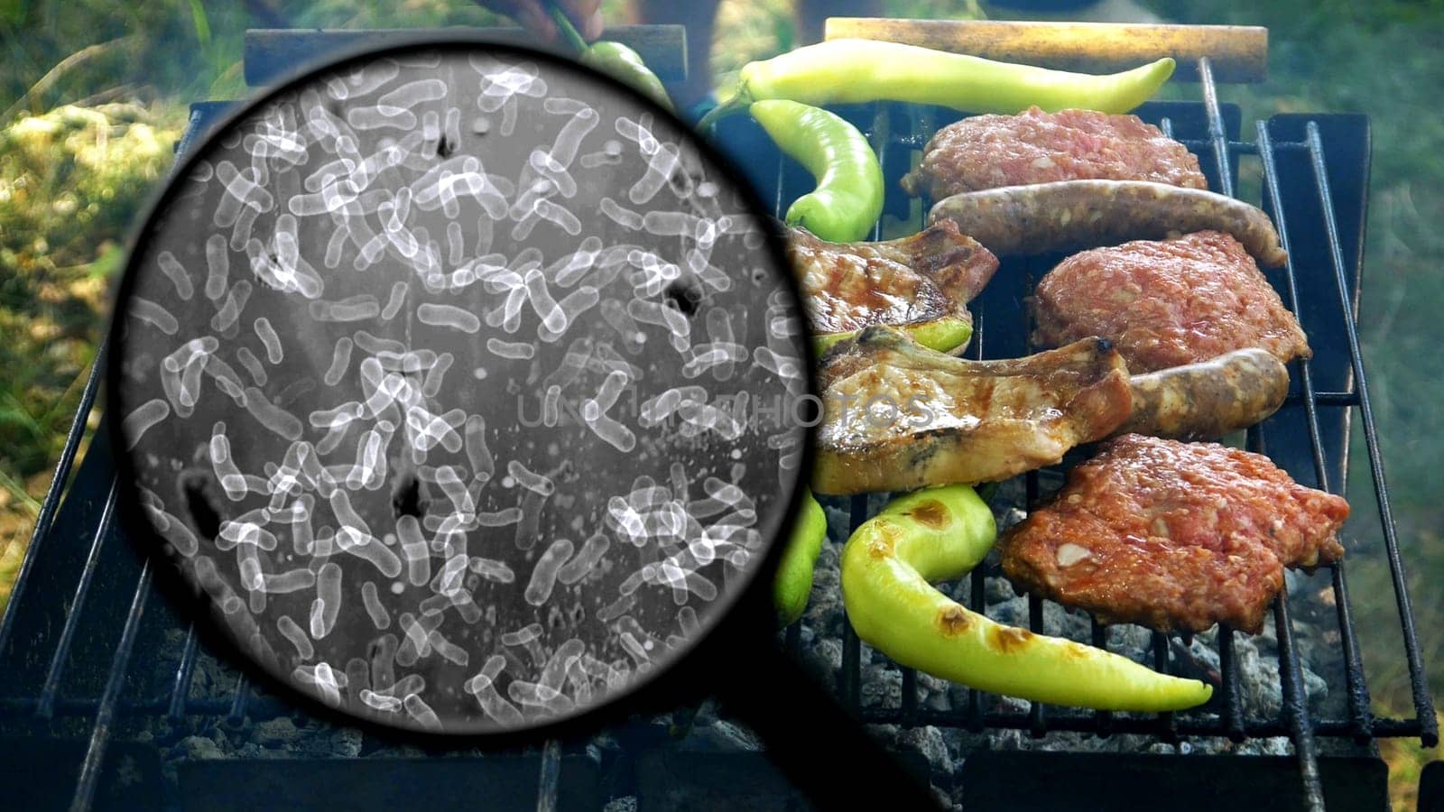 Searching for bacteria on BBQ meat