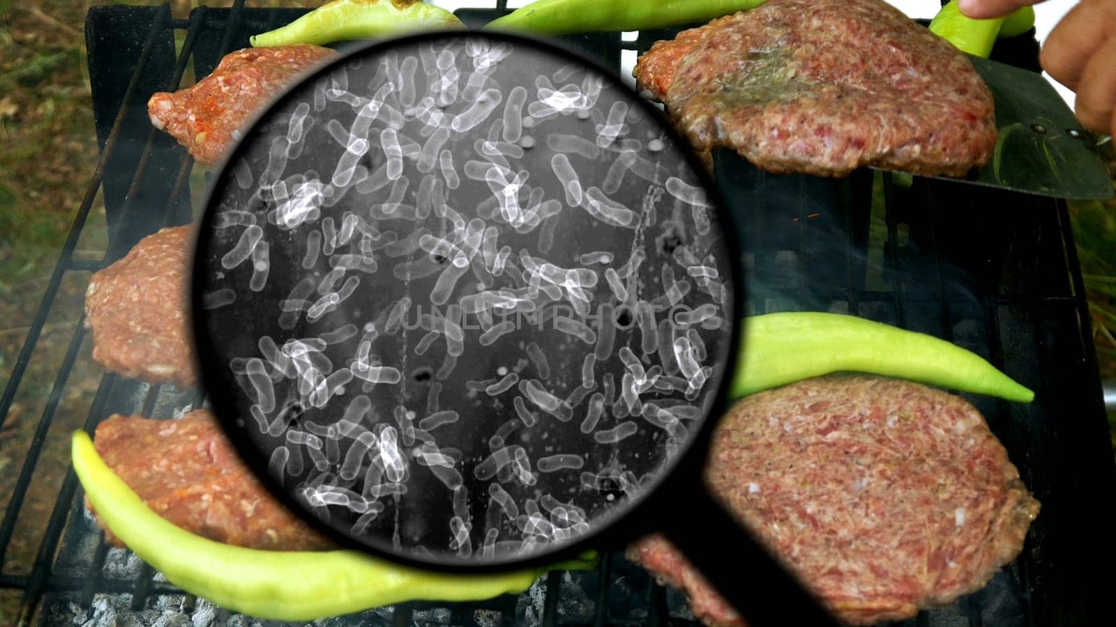 Searching for bacteria on BBQ meat