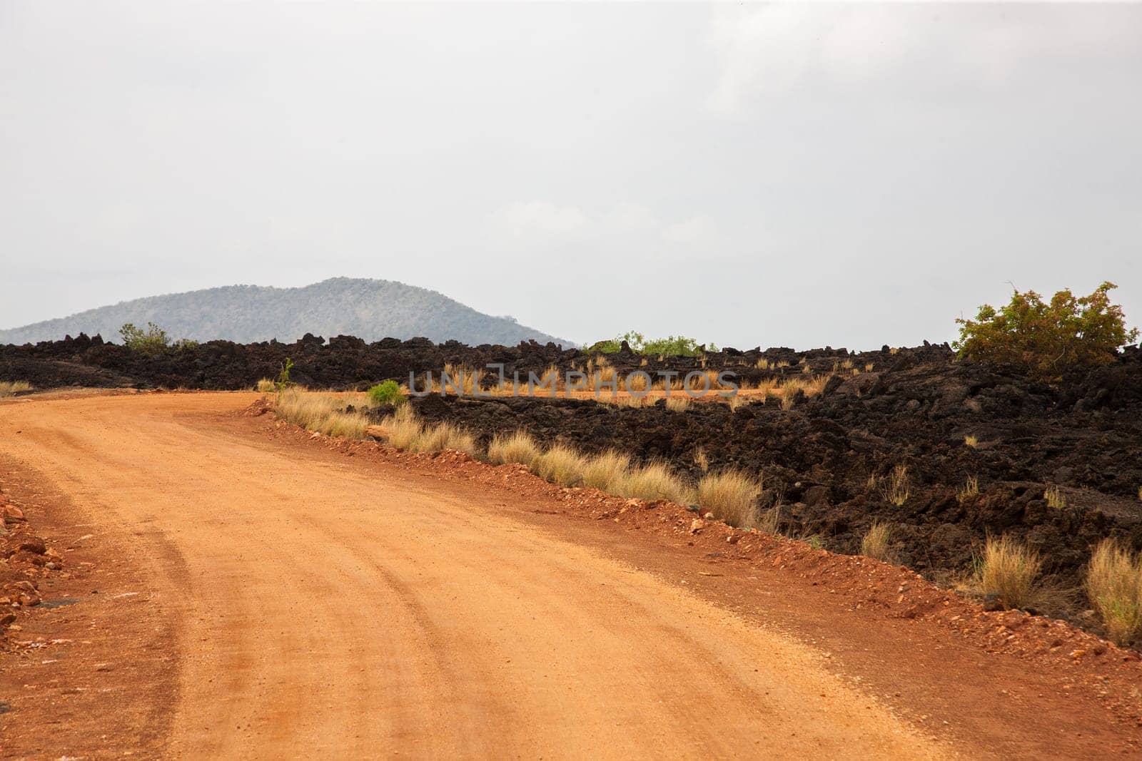 Red road in the savannah, safari in Kenya