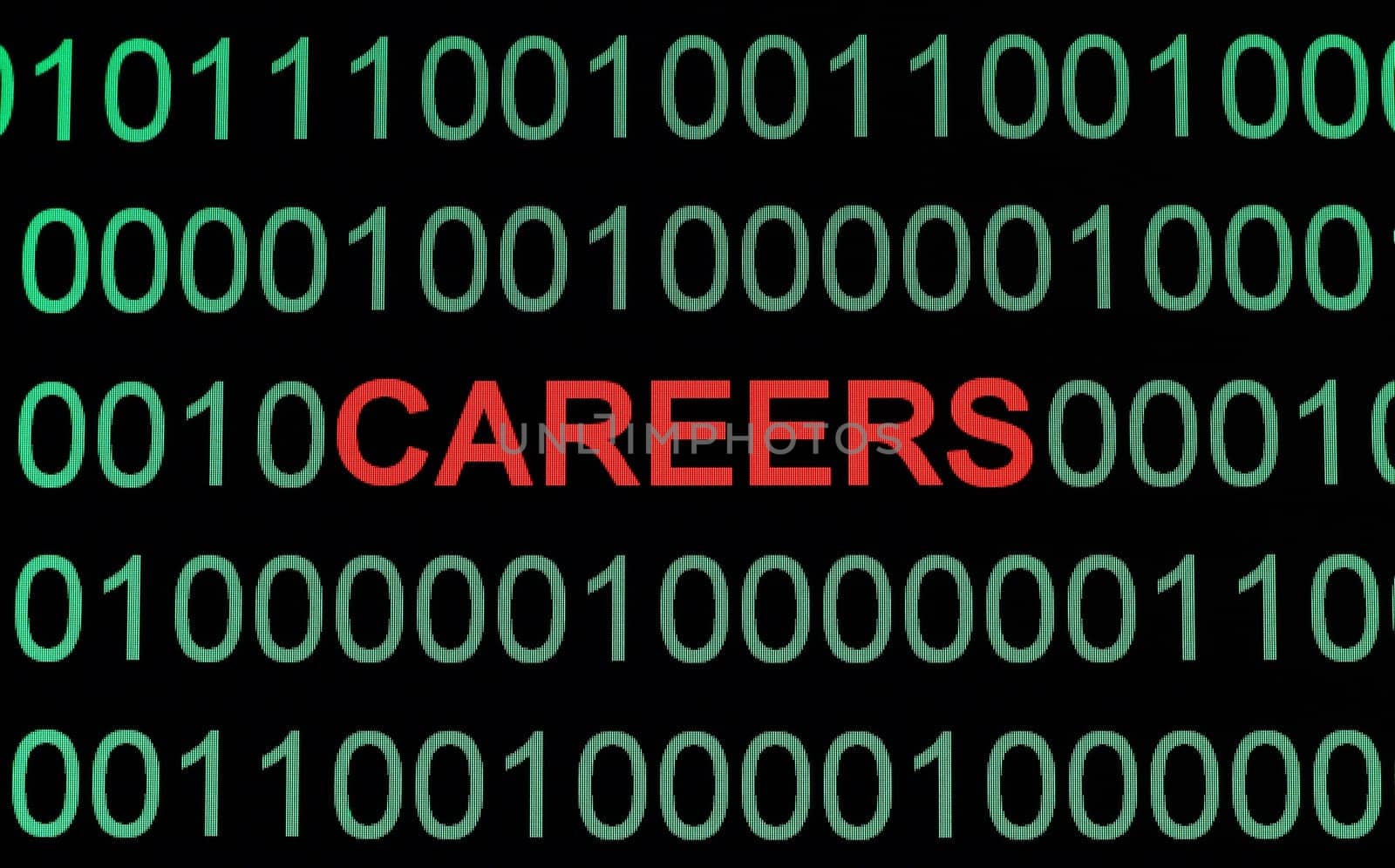 Career