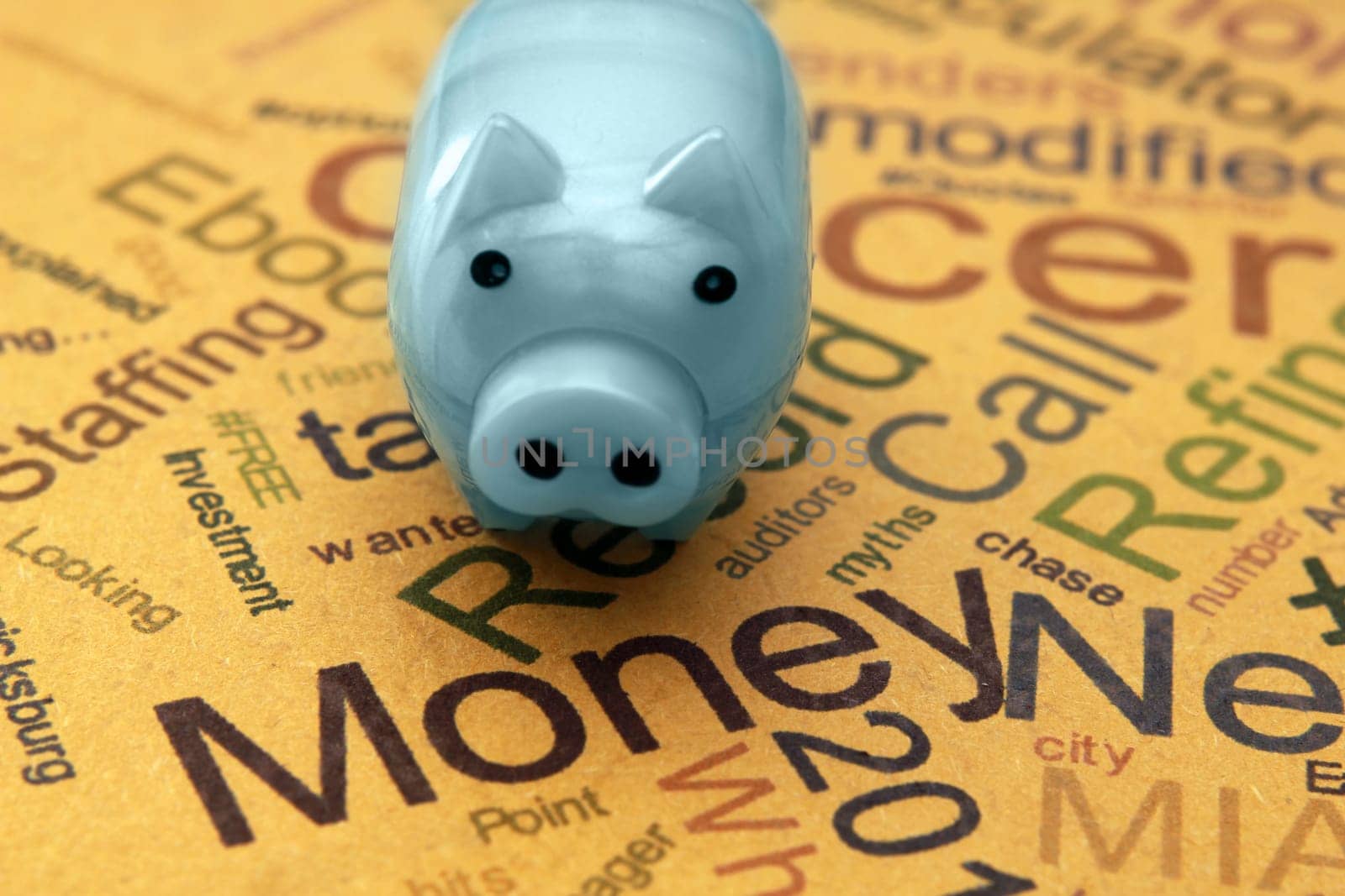 Piggy bank on money text