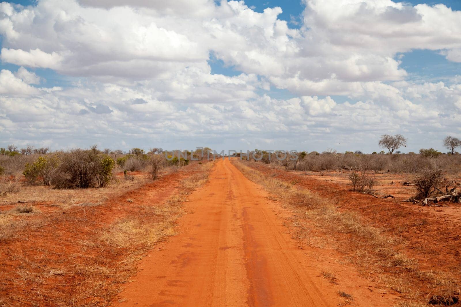Big way with red soil through the savannah of Kenya.