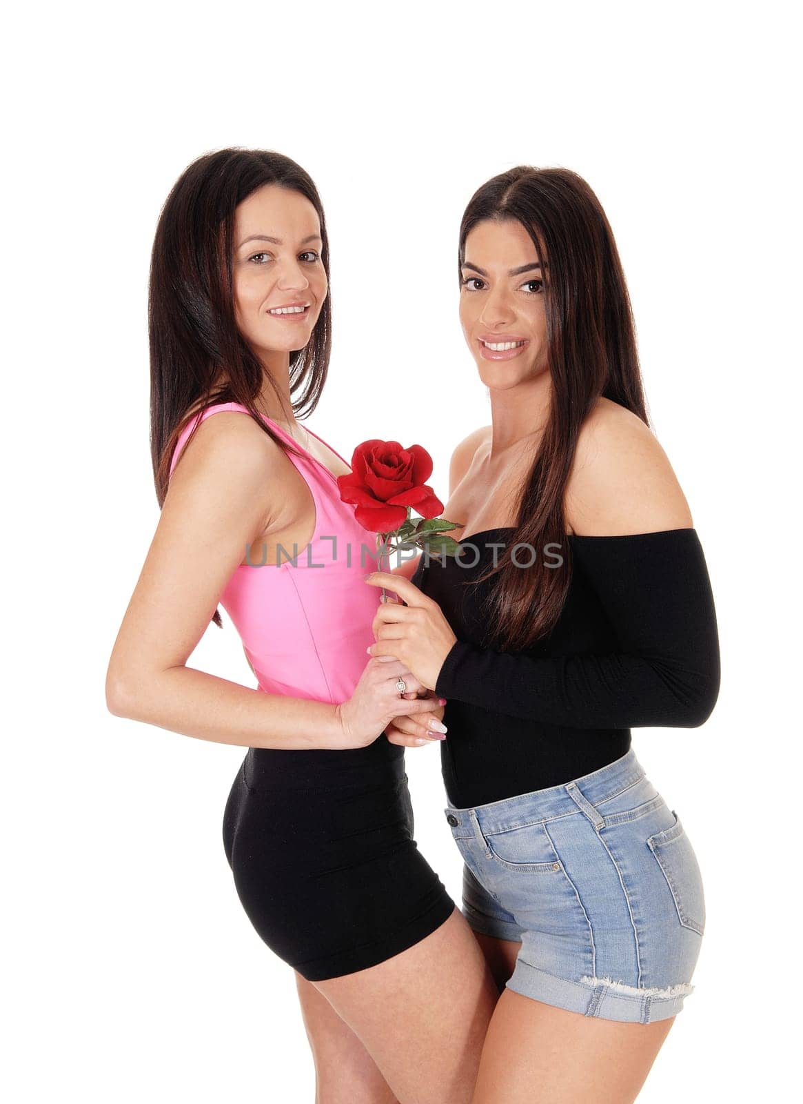 Two beautiful young woman standing front to front in shorts holding .a rose, looking at the camera, isolated for white background.