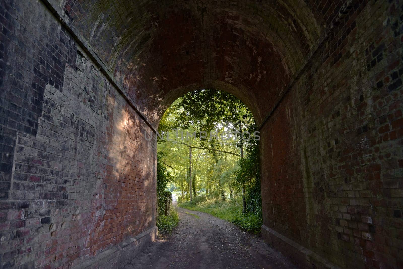 Old red and purple brick tunnel contains a muddy double-track lane that opens out into deciduous forest greenery, climbing plants and undergrowth.