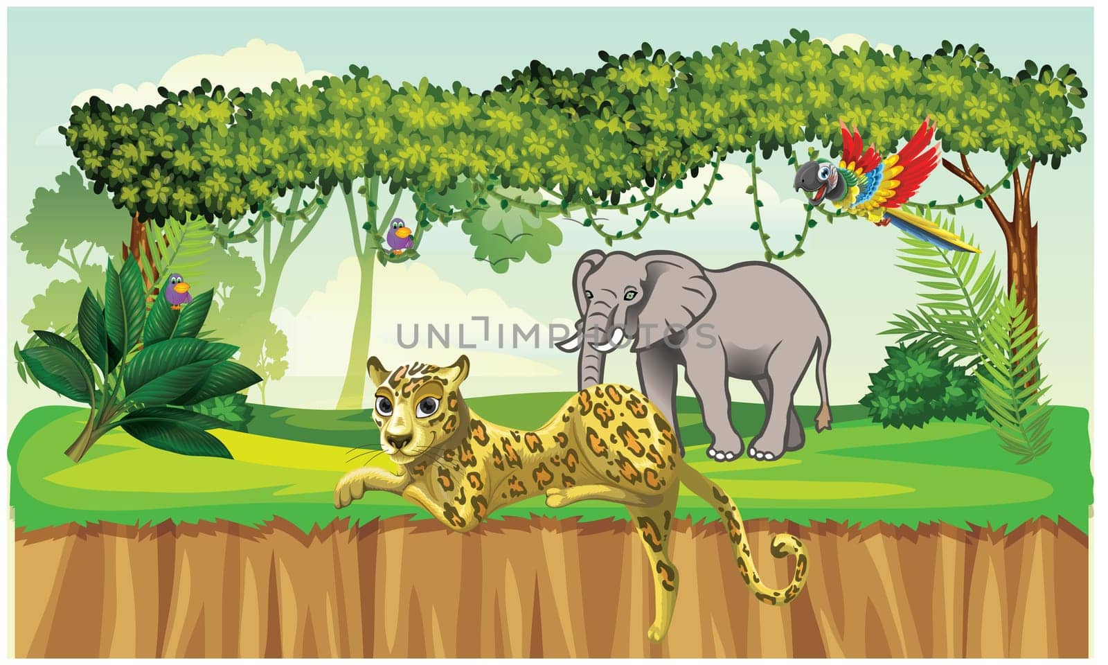 a view from nature in jungle with all wild animals