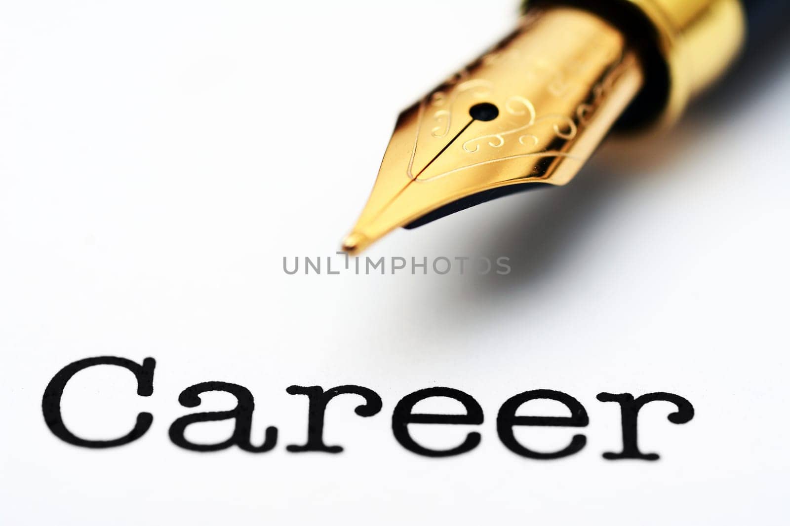 Fountain pen on career text