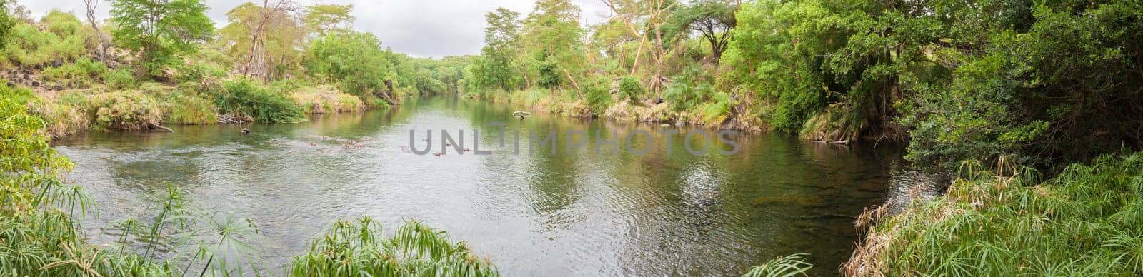 Mzima Springs, landscape of Kenya.