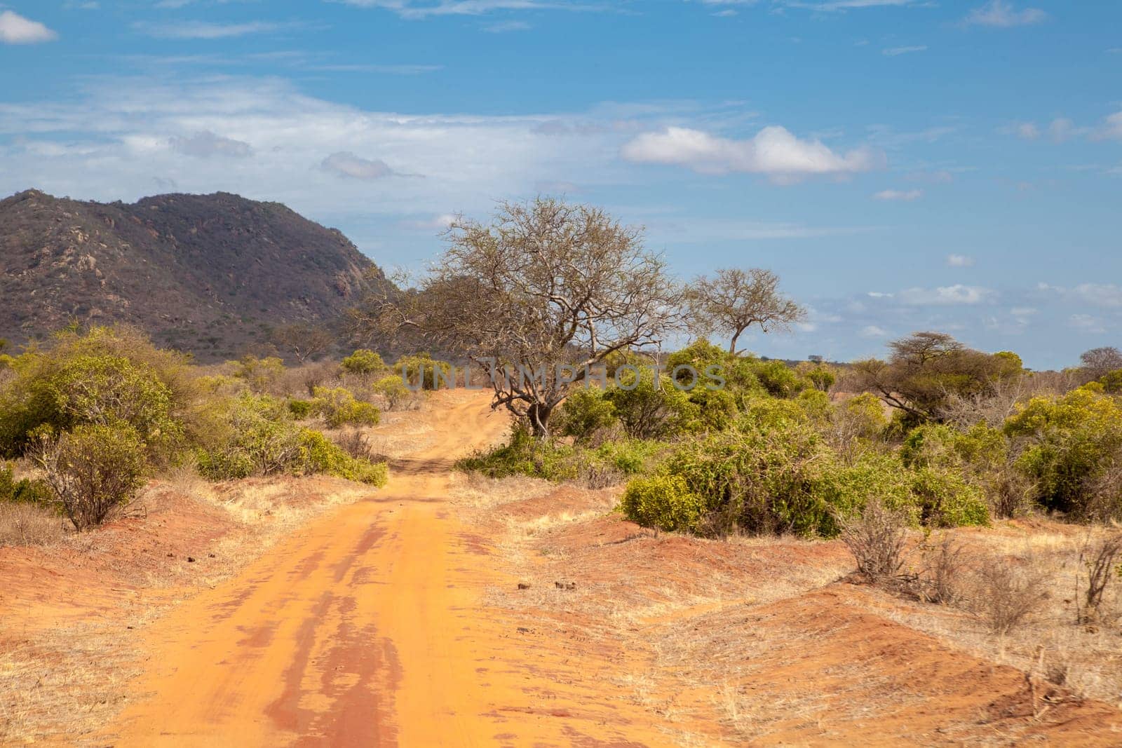 Road in Kenya, savannah with mountains and blue sky and some clouds.