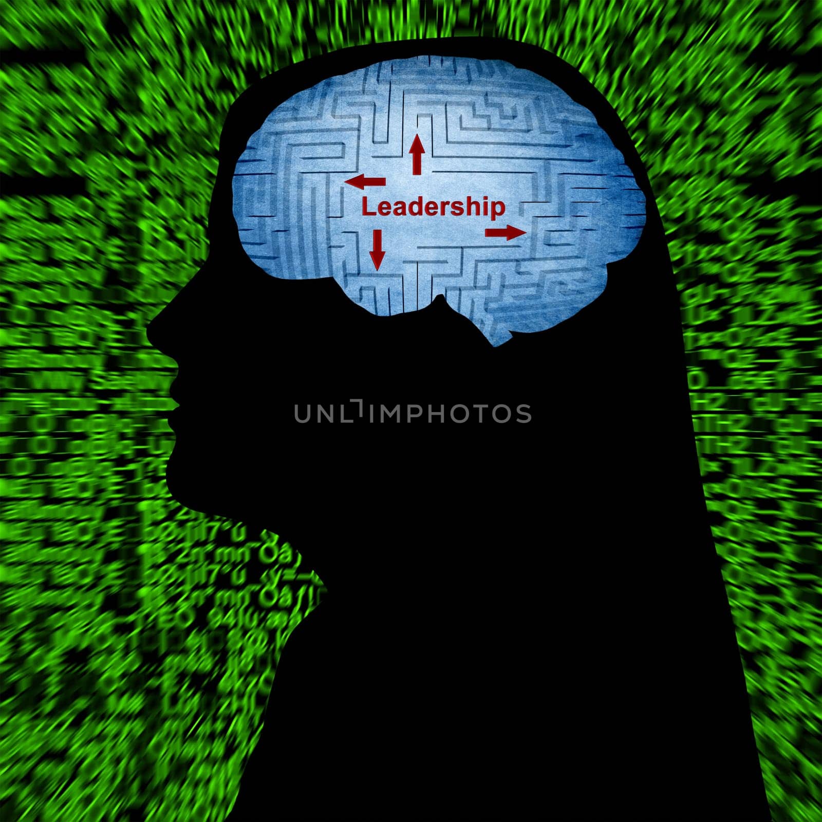leadership in mind