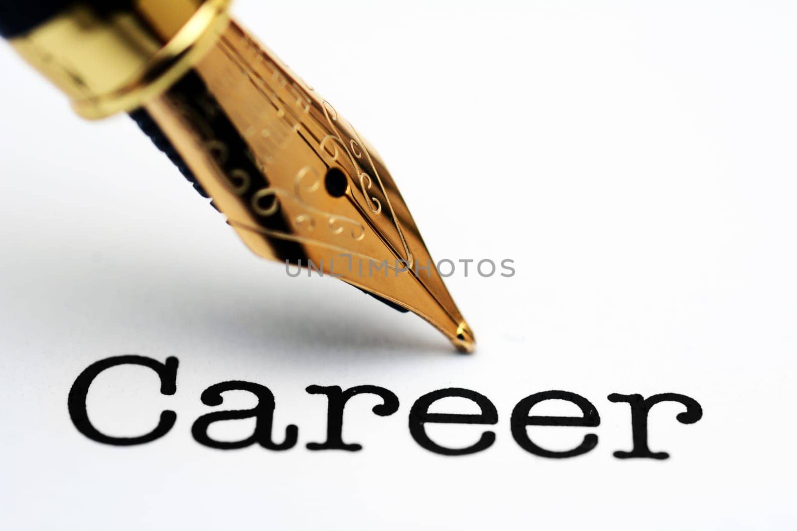 Career  text and fountain pen