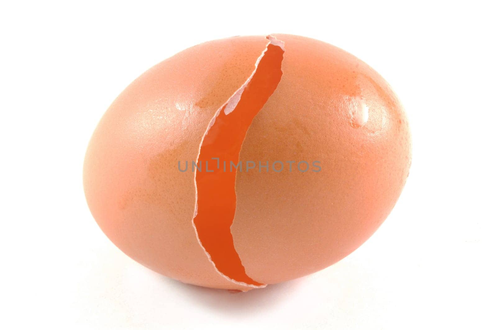 broken egg closeup over white background