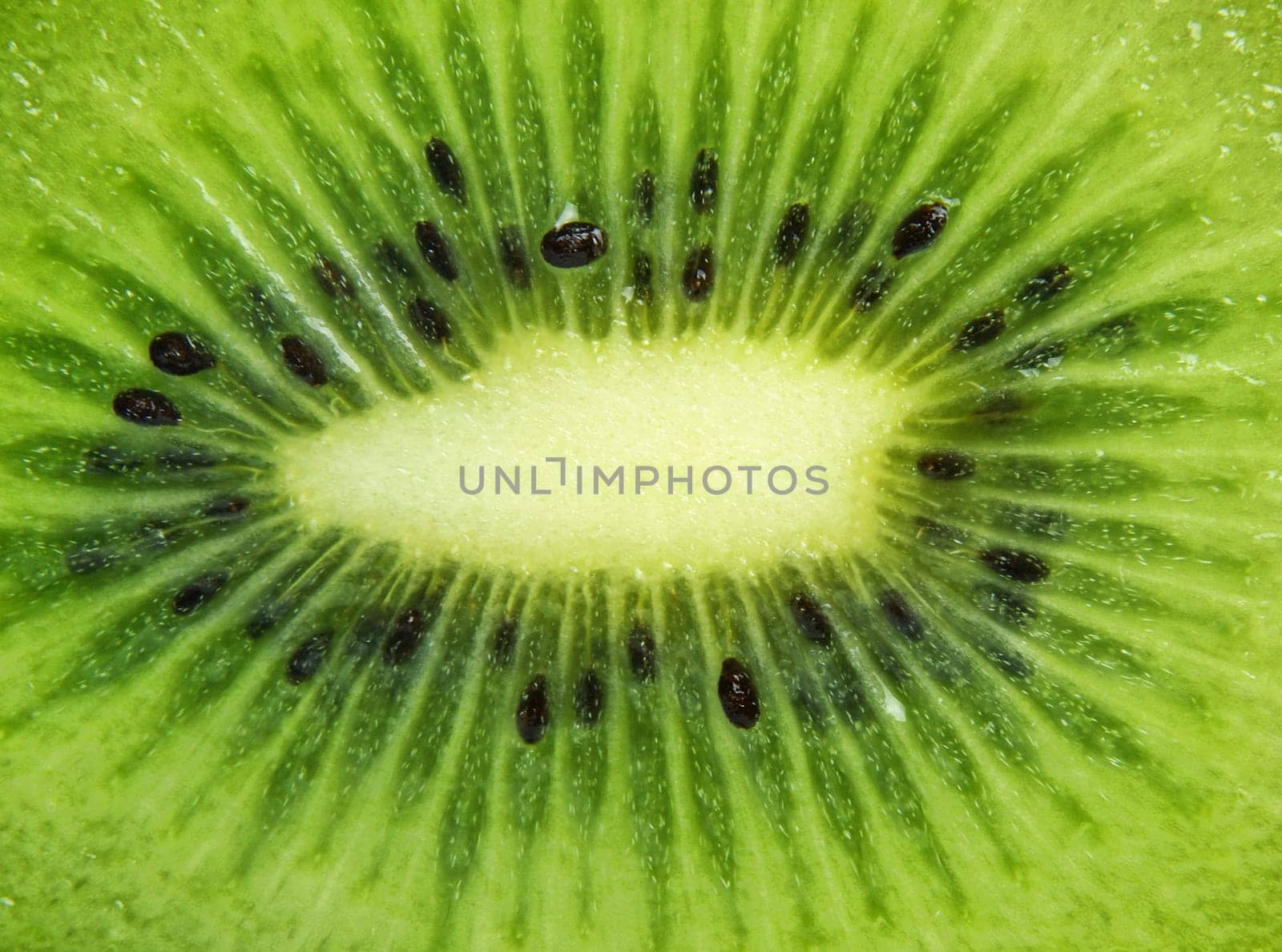 closeup of kiwi as a background