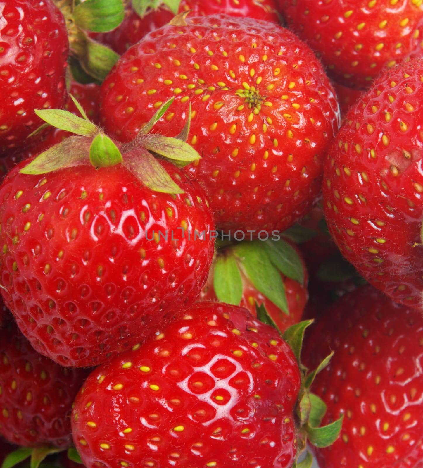 strawberry closeup as a background