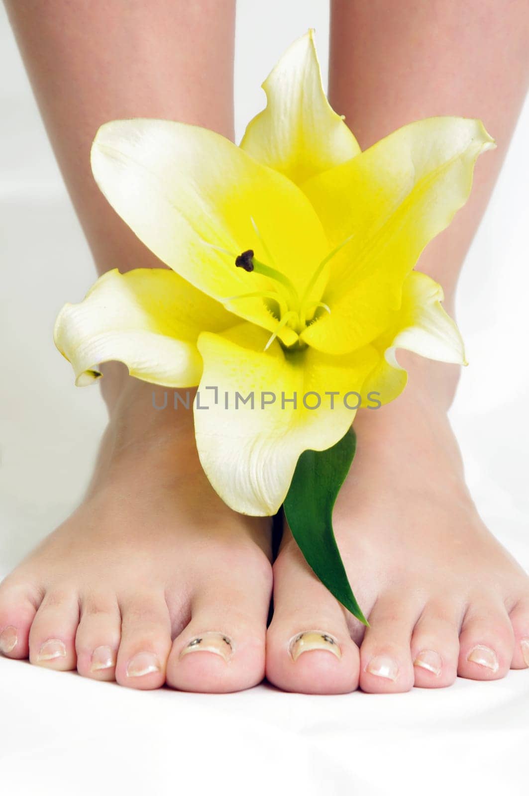 female legd with yellow lily flower